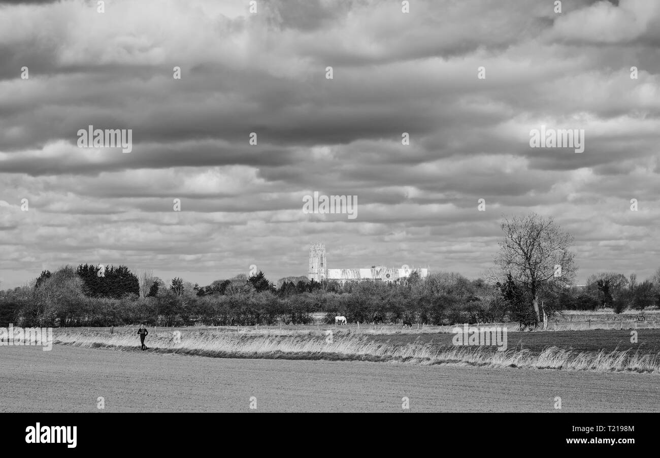 View across agricultural landscape and parklands with trees and ancient minster on horizon in spring in Beverley, Yorkshire, Stock Photo