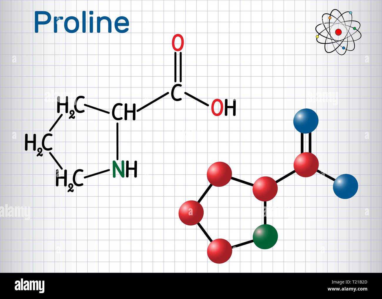 Proline (L- proline, Pro , P) proteinogenic amino acid molecule. Sheet of paper in a cage. Structural chemical formula and molecule model. Vector illu Stock Vector