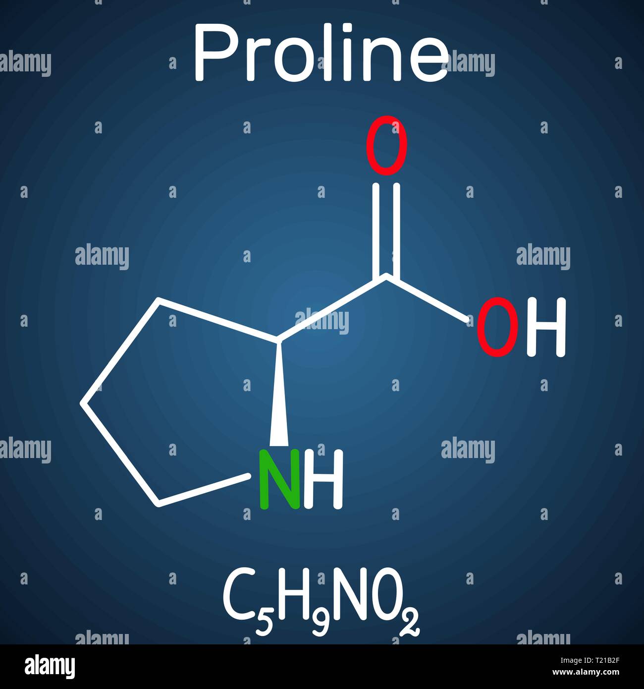 Proline (L- proline, Pro , P) proteinogenic amino acid molecule.  Structural chemical formula on the dark blue background. Vector illustration Stock Vector