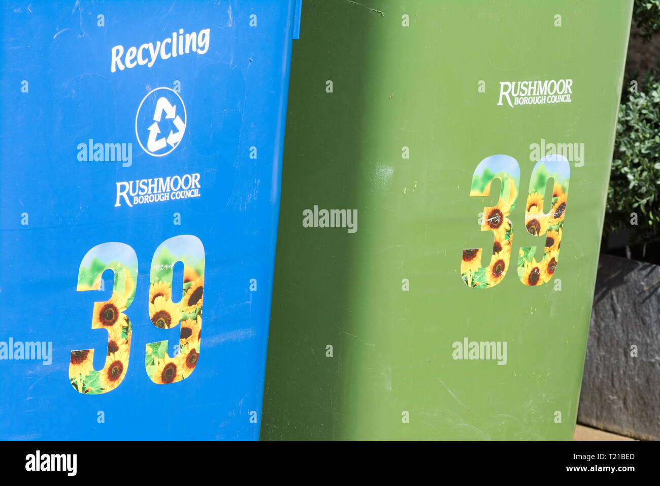 Blue recycling and green waste wheelie bins labelled with colourful house number stickers, Hampshire, UK Stock Photo