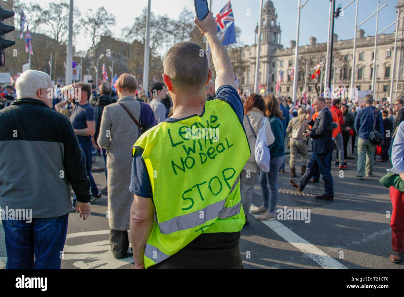 London, UK. 29th Mar 2019. Protester at the Brexit Day Protest Credit: Alex Cavendish/Alamy Live News Stock Photo
