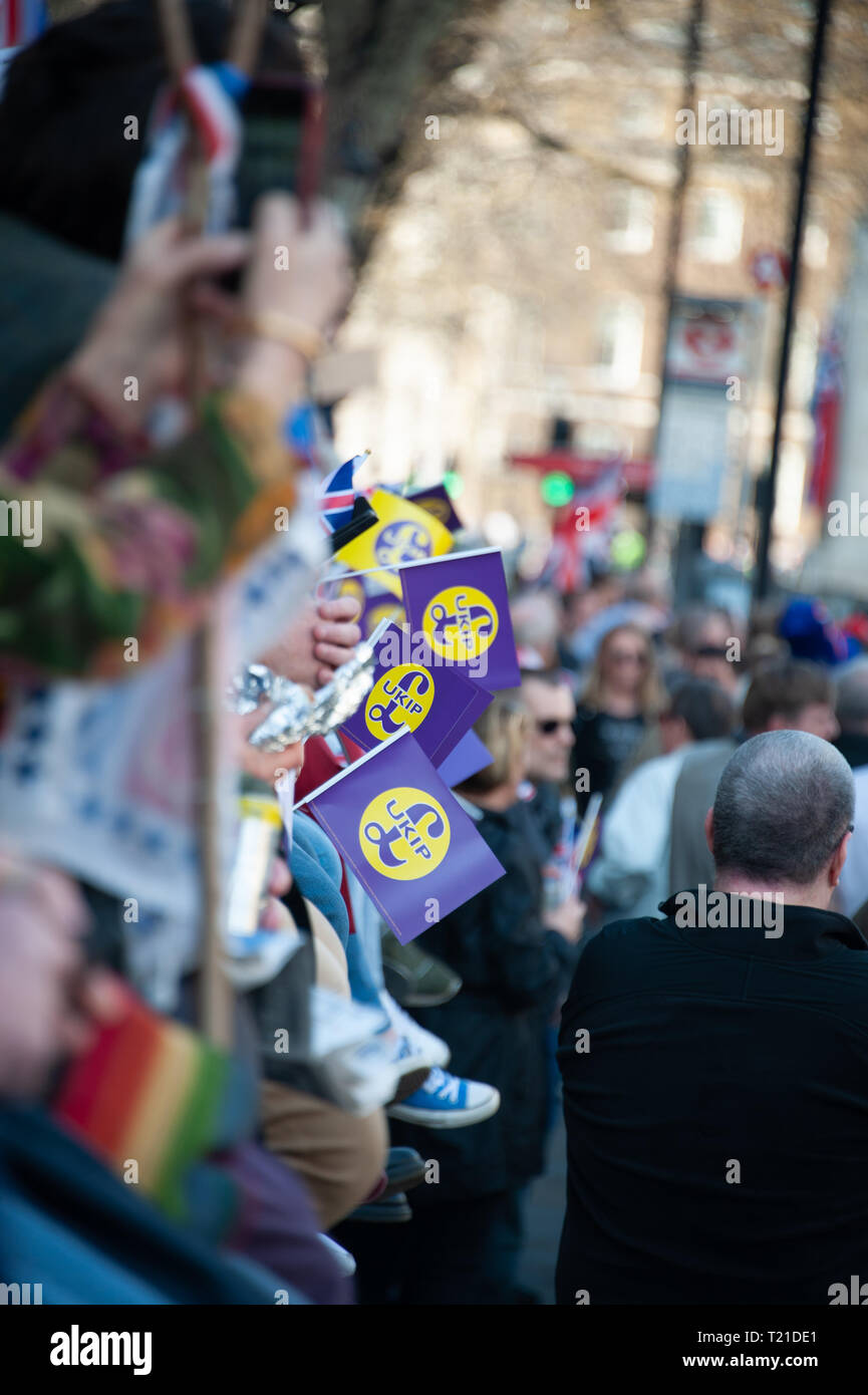 London, United Kingdom. 29th Mar, 2019. People holding flags from United Kingdom Independence Party UKIP during a Pro-Leave rally near Parliament Square. Credit: Sandip Savasadia/Alamy Live News Stock Photo