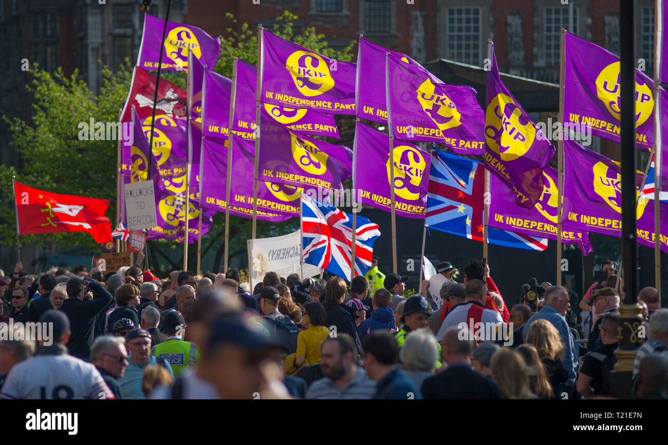 Westminster London, UK. 29 March, 2019. Thousands of Leave supporters gather outside Parliament as MPs reject the Prime Minister’s withdrawal deal by 58 votes. March to Leave rally gathers in Parliament Square to hear Nigel Farage speak. A separate Make Brexit Happen rally takes place in Whitehall, organised by UKIP with EDL’s Tommy Robinson. Image: UKIP flags take over the barriers at College Green. Credit: Malcolm Park/Alamy Live News. Stock Photo