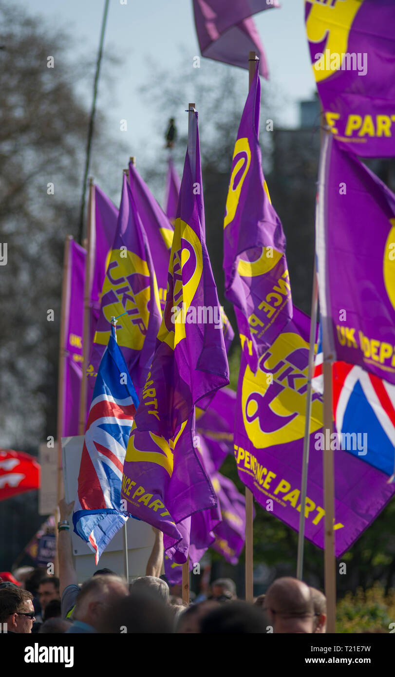 Westminster London, UK. 29 March, 2019. Thousands of Leave supporters gather outside Parliament as MPs reject the Prime Minister’s withdrawal deal by 58 votes. March to Leave rally gathers in Parliament Square to hear Nigel Farage speak. A separate Make Brexit Happen rally takes place in Whitehall, organised by UKIP with EDL’s Tommy Robinson. Image: UKIP flags take over the barriers at College Green. Credit: Malcolm Park/Alamy Live News. Stock Photo