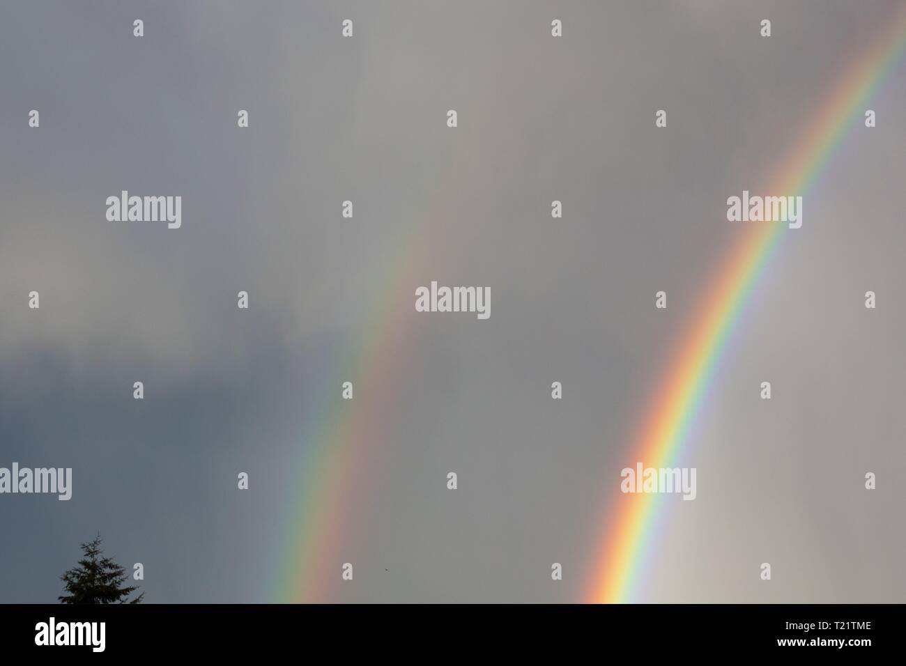 An extremely bright double rainbow over Eugene, Oregon, USA. Stock Photo