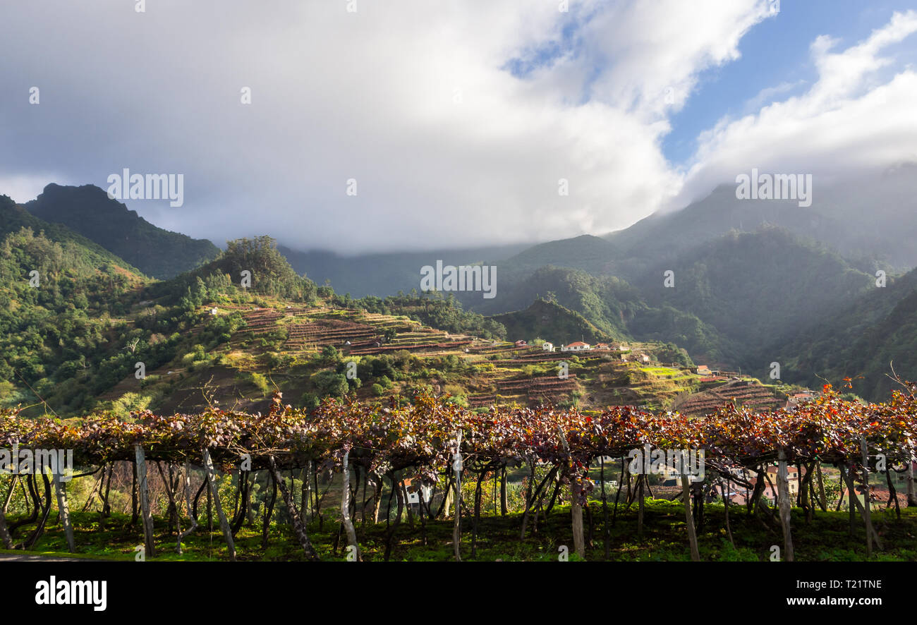 Houses and landscape on the Madeira island, Portugal. Stock Photo