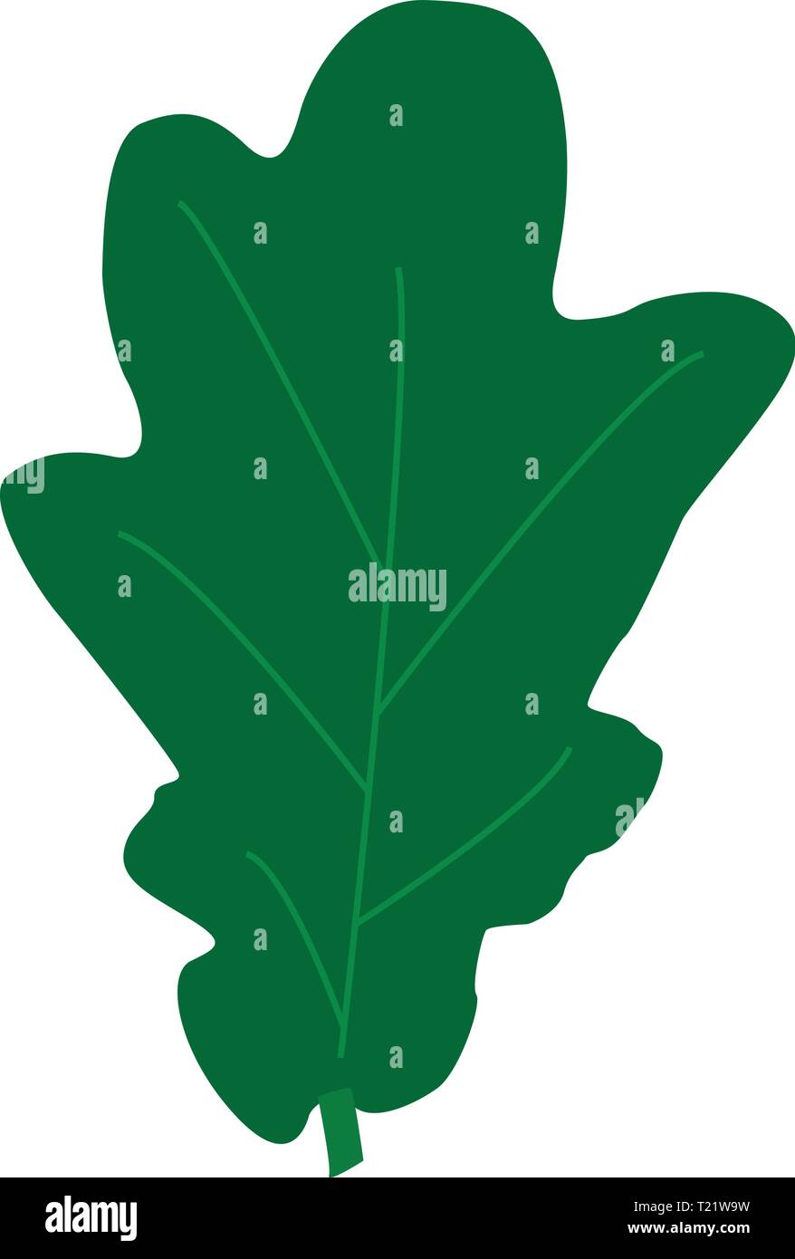 Green oak leaves isolated on white background. Flat style Stock Vector ...
