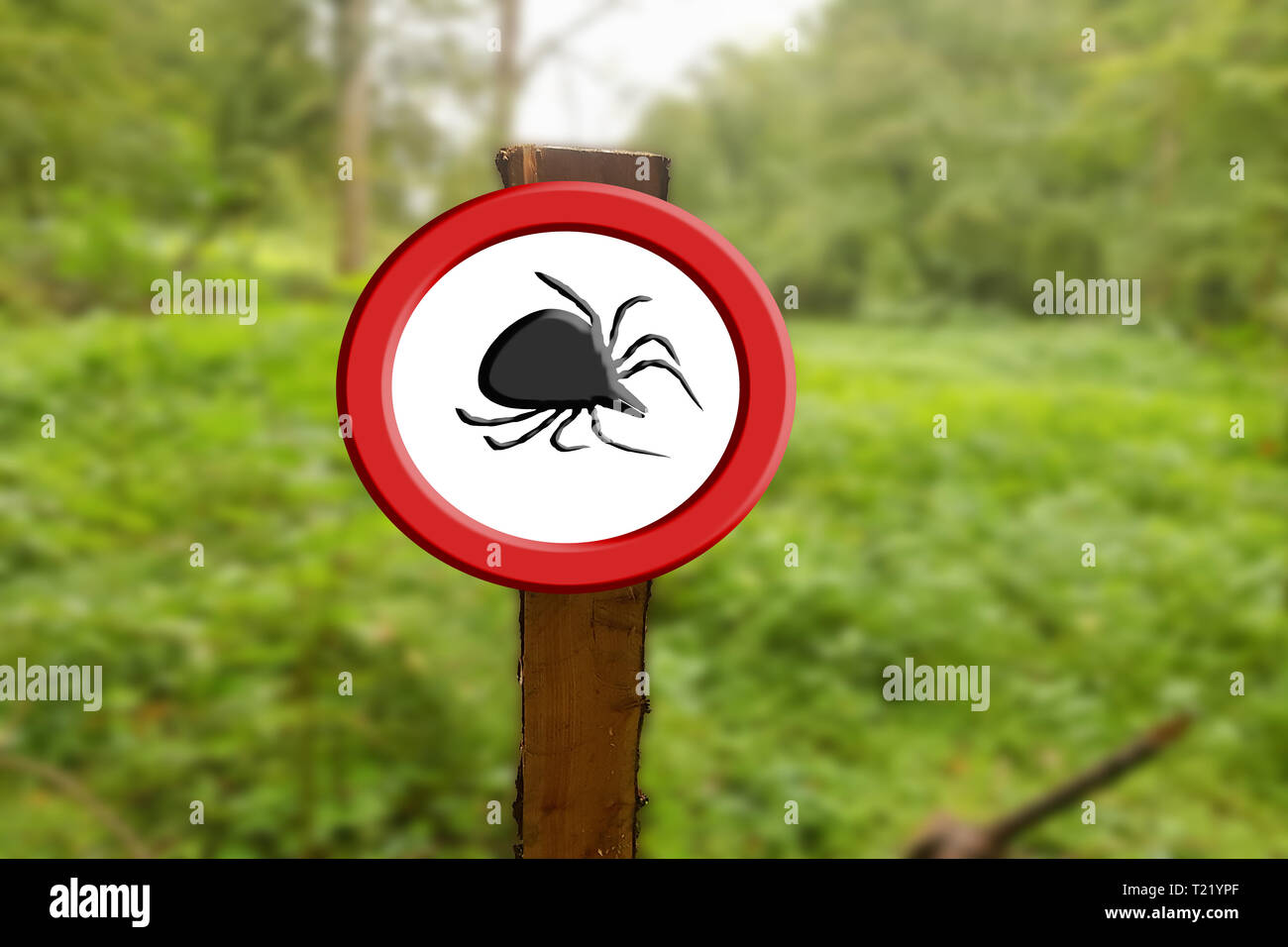 Borreliose and tick warning, round red warning sign with tick symbol. Stock Photo