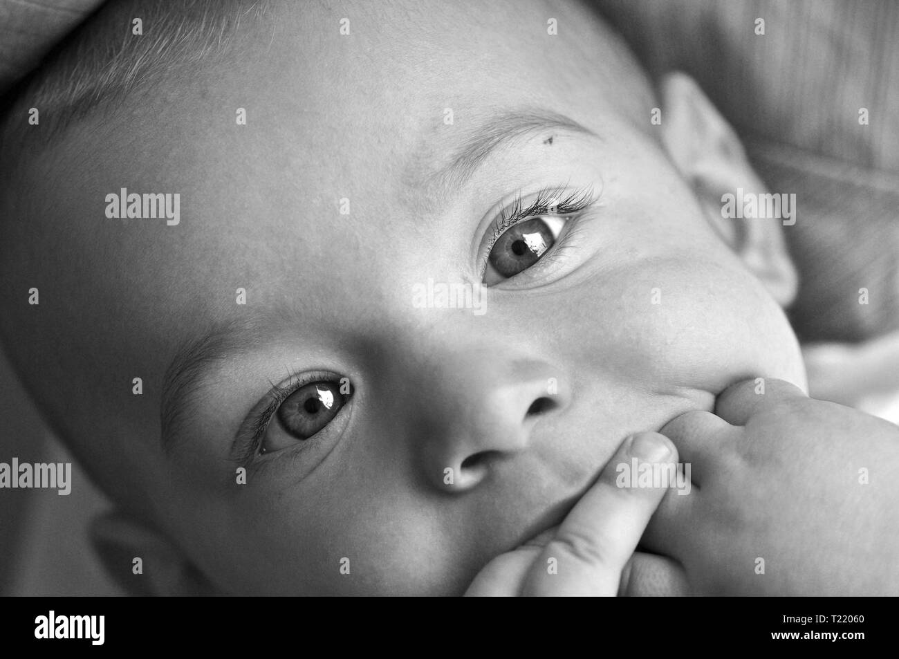 black and white baby portrait Stock Photo Alamy