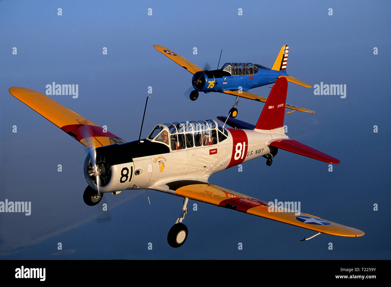 Consolidated Vultee US Army Air Corps Basic Trainer airplane, Vultee  Vibrator, Pilot training airplane, US Army AirCorps Stock Photo - Alamy