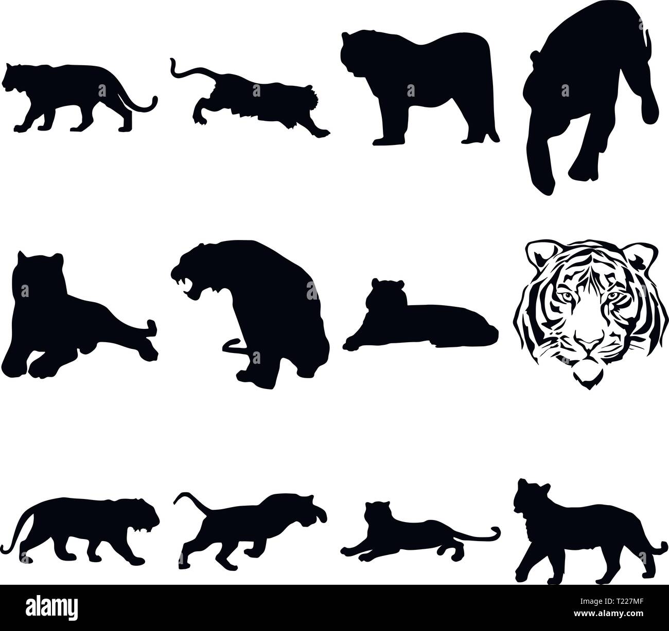 A collection of silhouettes of a tiger in different positions Stock Vector