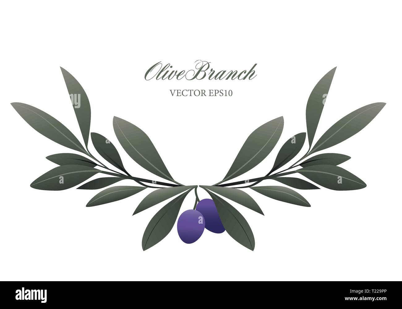 Olive branch wreath isolated. Vector Illustration Stock Vector Image ...
