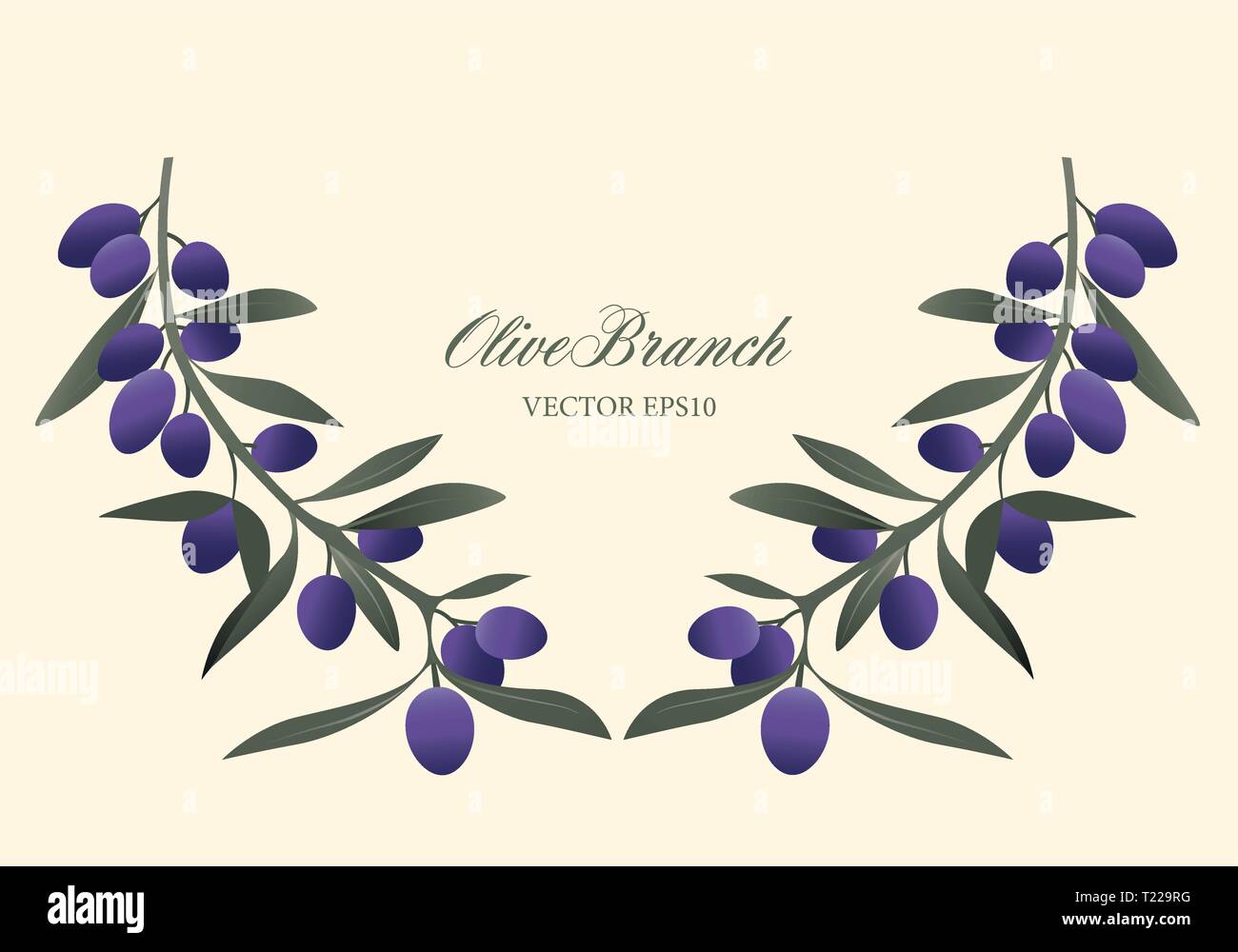 Olive branch wreath isolated. Vector Illustration Stock Vector Image