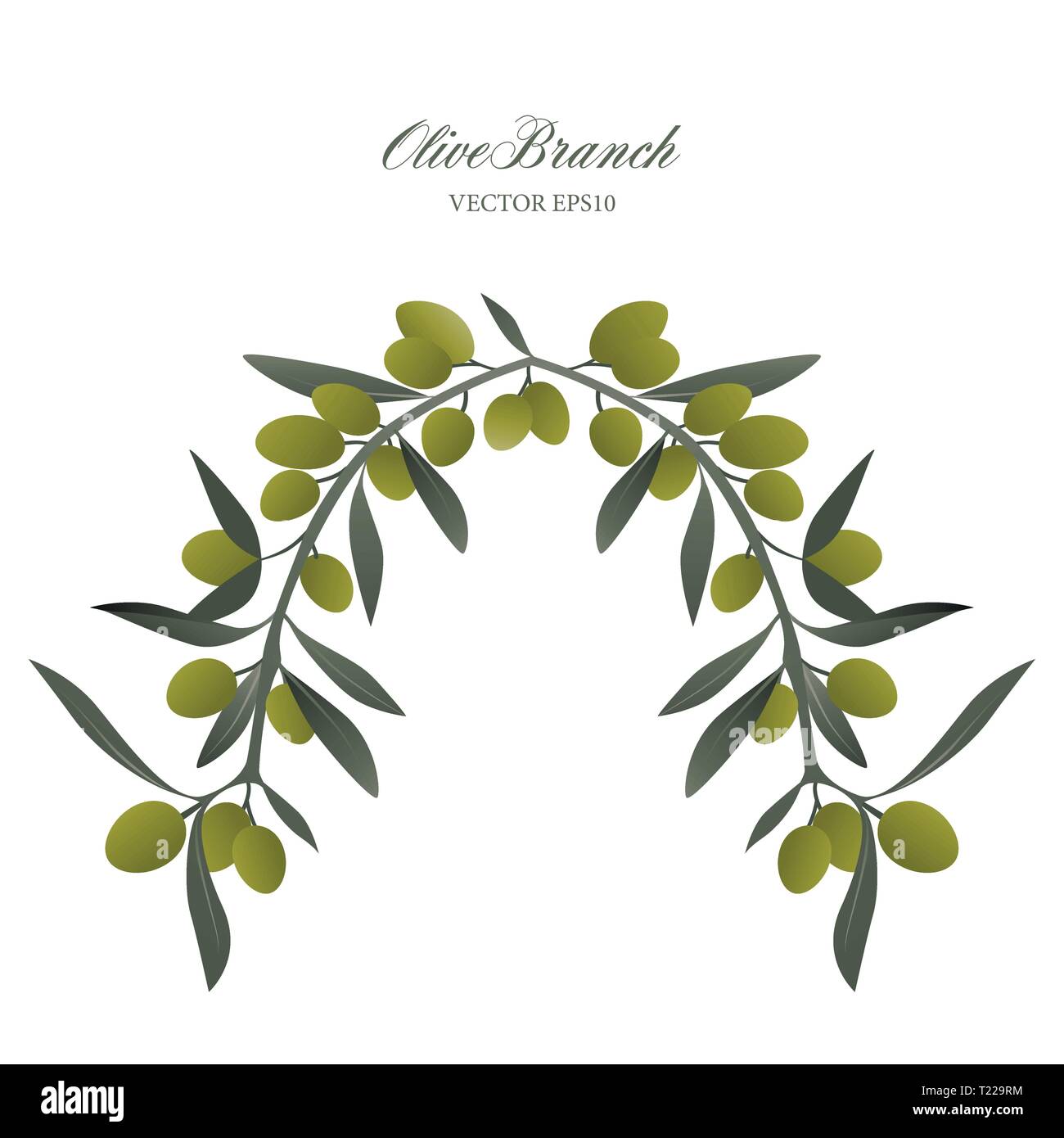 Olive branch wreath isolated. Vector Illustration Stock Vector Image ...