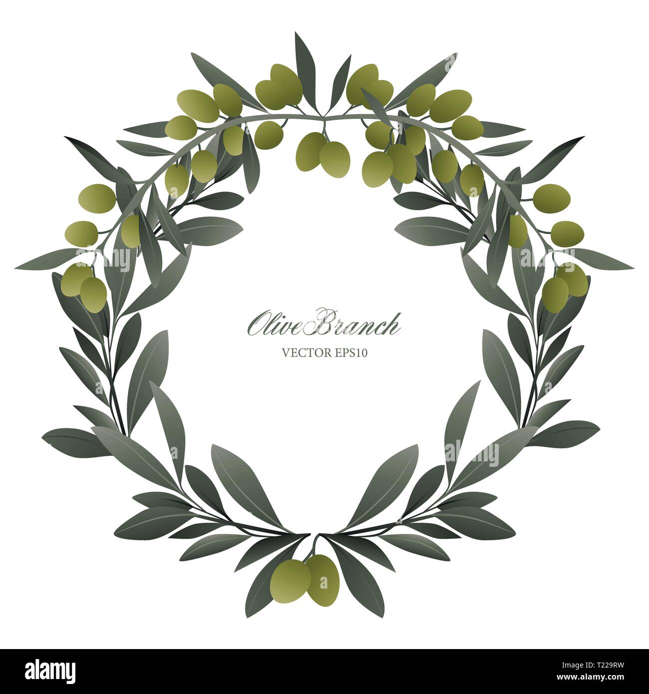 Olive branch wreath isolated. Vector Illustration Stock Vector Image ...
