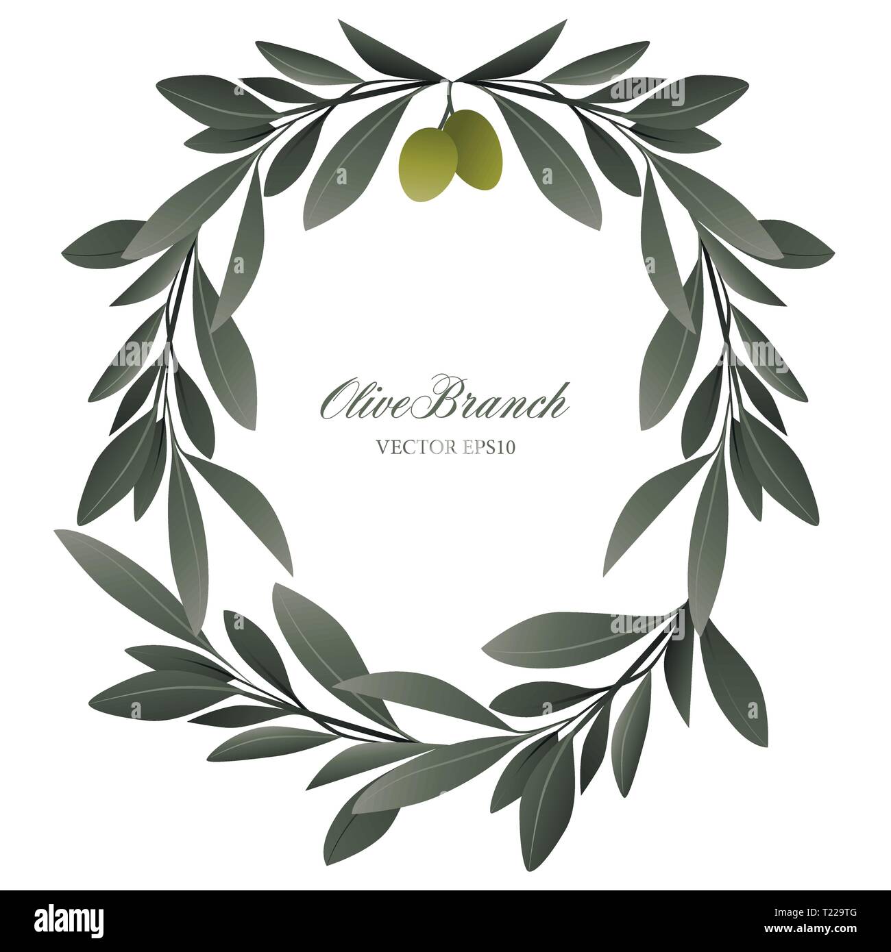Olive branch wreath isolated. Vector Illustration Stock Vector Image ...