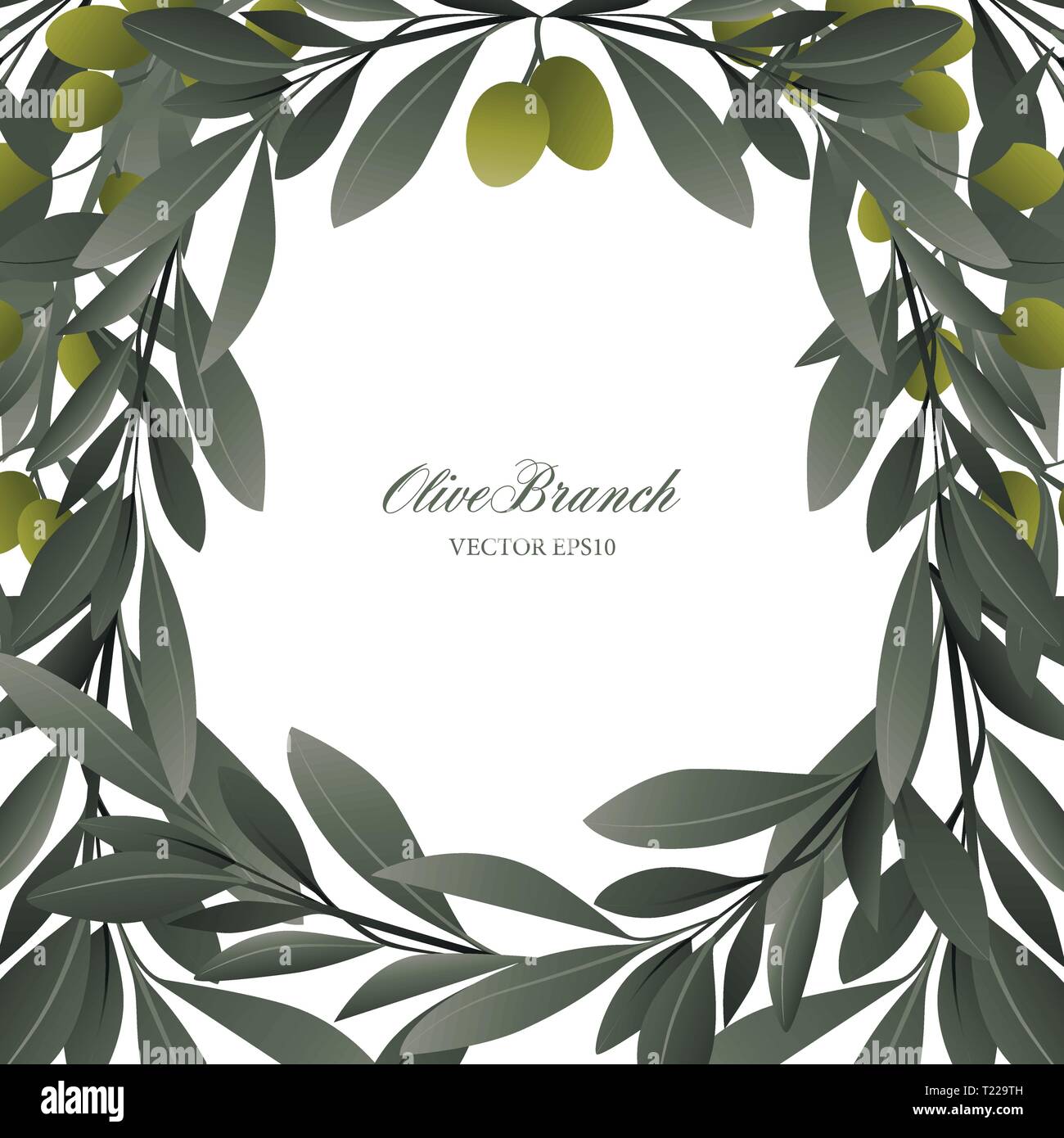Olive branches and green olives frame on white background. Blank space ...