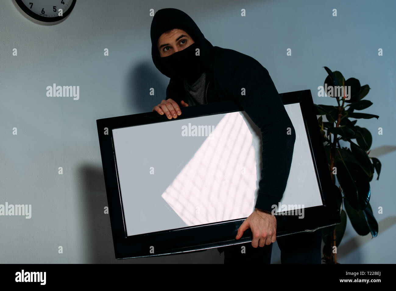 Download Robber In Black Mask Stealing Flat Screen Tv With Blank Screen Stock Photo Alamy PSD Mockup Templates