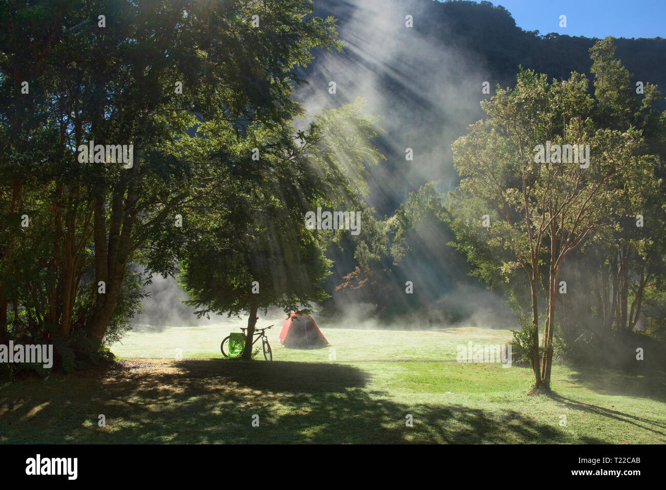 Morning mist at Camping Rio Gonzalez, Pumalin National Park, Patagonia, Region de los Lagos, Chile Stock Photo