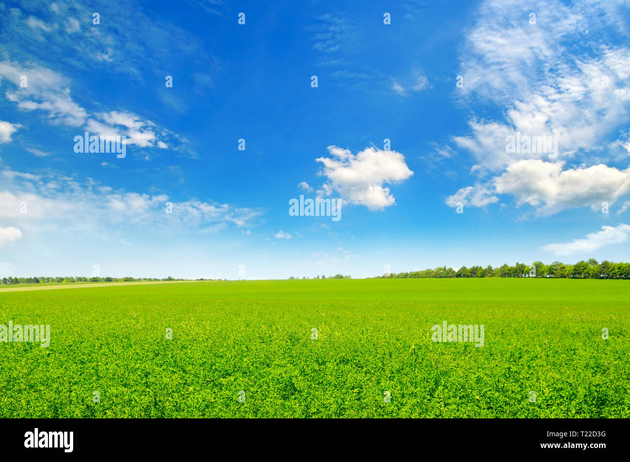 green field and blue sky with light clouds Stock Photo - Alamy