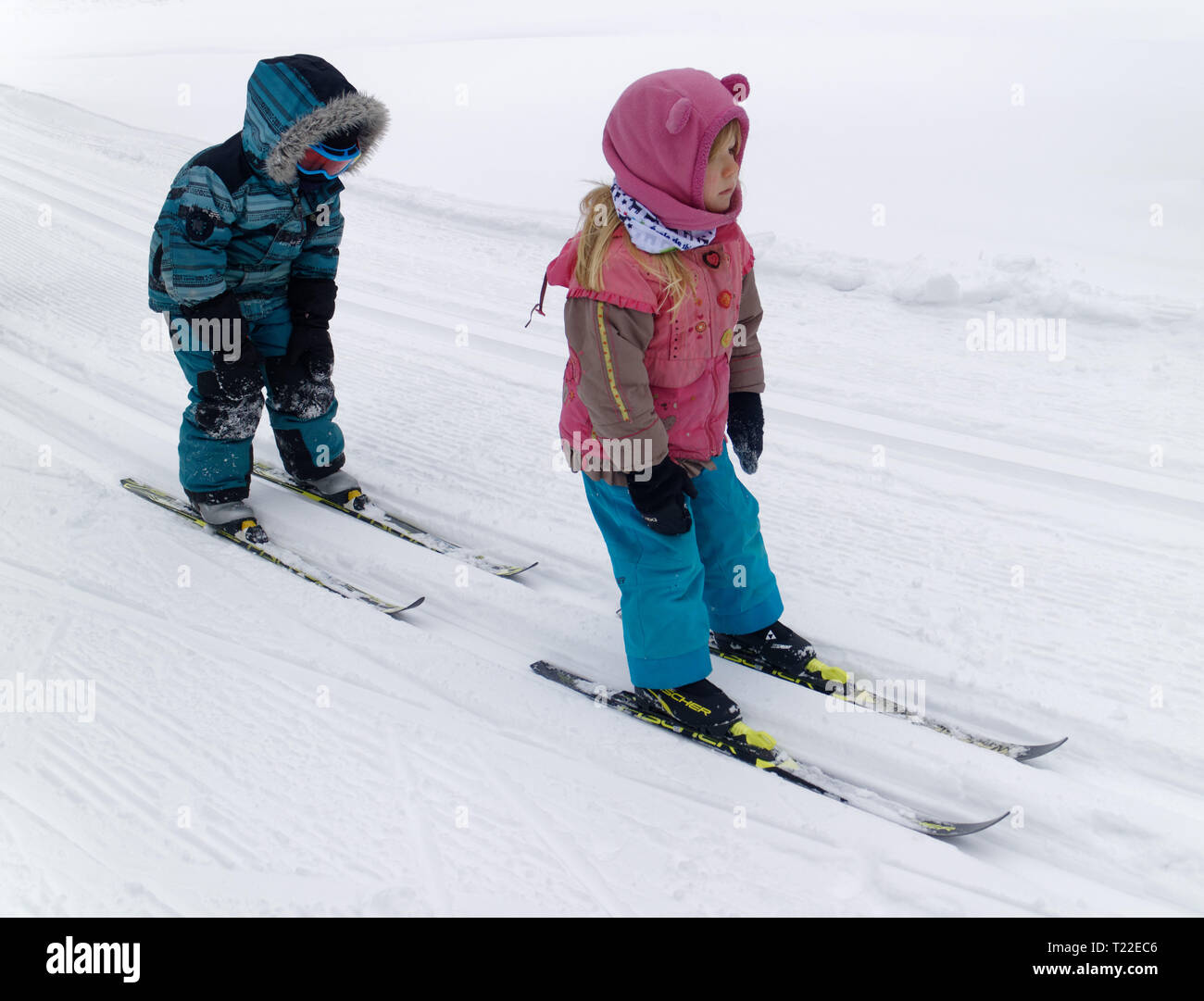 Two little girls (4 yr olds) cross country ski-ing Stock Photo