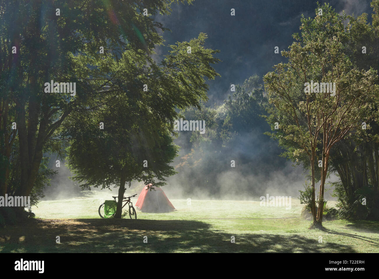 Morning mist at Camping Rio Gonzalez, Pumalin National Park, Patagonia, Region de los Lagos, Chile Stock Photo