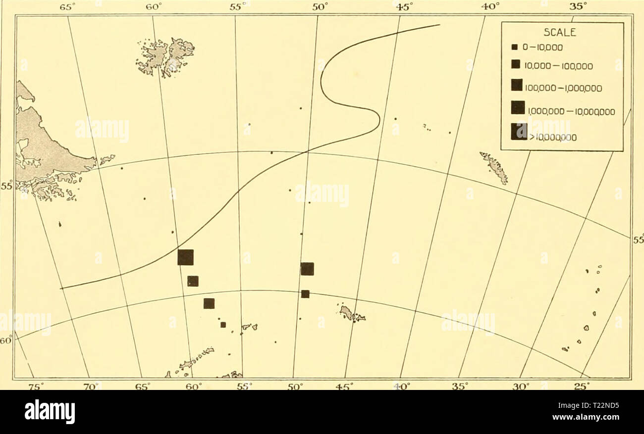 Archive image from page 95 of Discovery reports (1934) Discovery reports  discoveryreports08inst Year: 1934  75' 70Â° S5Â° 60' 55* SO' 45' 40' 35Â° 30 Fig. 42. The distribution of Chaetoceros neglectus in the Scotia Sea, February-March 1931. esÂ° 60' 55Â° 50Â° 45Â° 40Â° 35Â°  â X /- - -â / / SCALE â 0 -10,000 N  Â«r ( / / â 10.000 -100.000 B 100.000 â1.000.000   â  )/â , â / H1.OQODOO-10,000.000 / / / oN isW- ,,â L    / / m ' i 55  i  â 1 / ' U 1 /   /  Â° /  / / ' / /  / 55 â 60    /I '.I ..rift' â / / / 7S' 70' 65' 60' 55Â° SO* â¢ts' 4-0' 35' 30Â° 25' Fig. 43. The distribution o Stock Photo