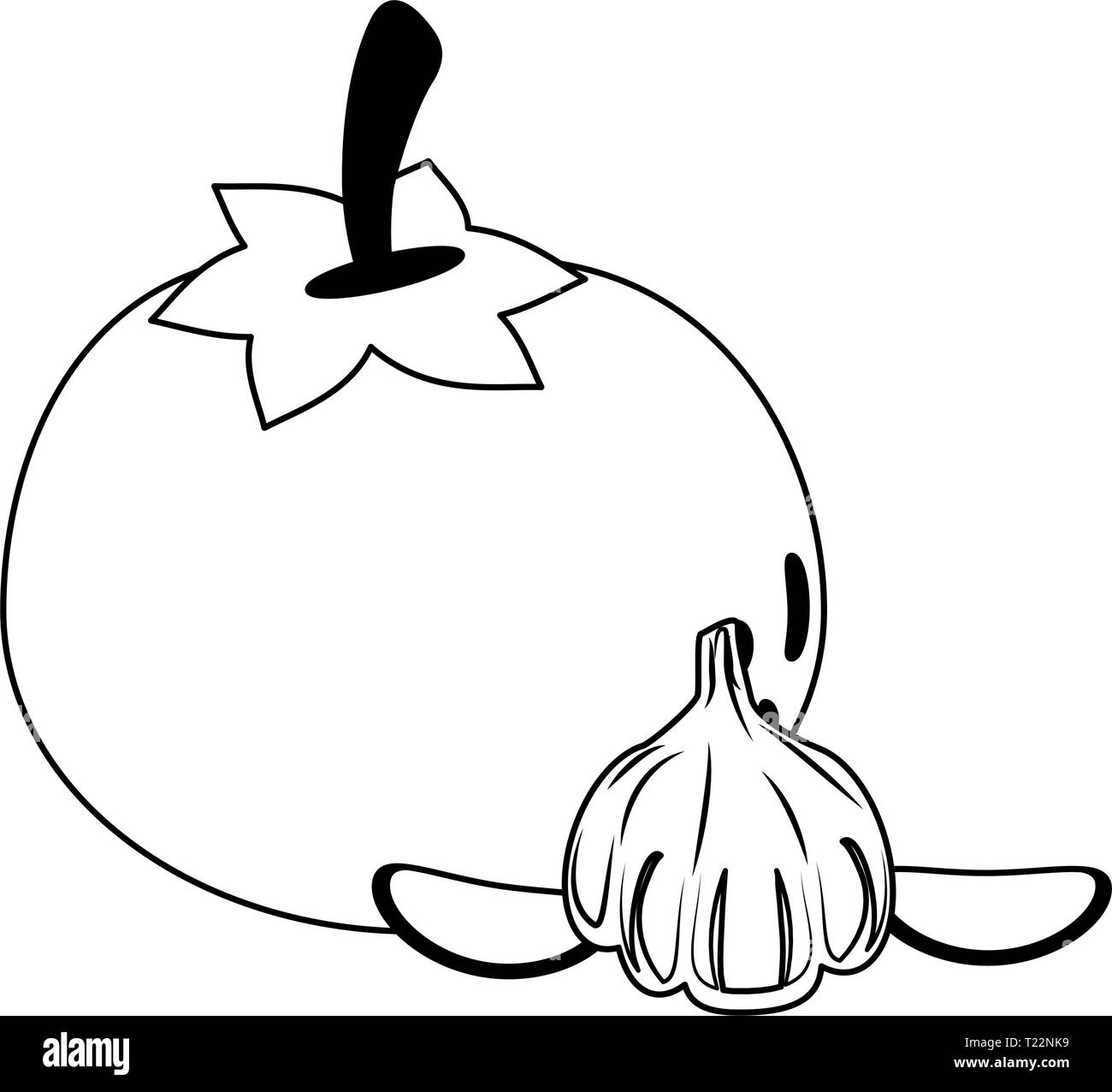 Tomato and garlic vegetables in black and white Stock Vector Image ...