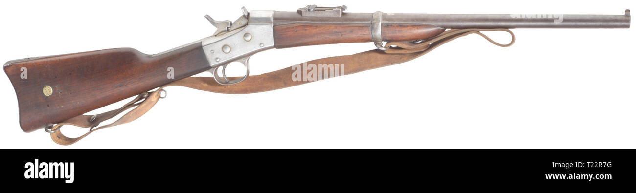 SERVICE WEAPONS, DENMARK, engineer carbine M 1867/96, calibre 11,35 mm, number 448, Additional-Rights-Clearance-Info-Not-Available Stock Photo