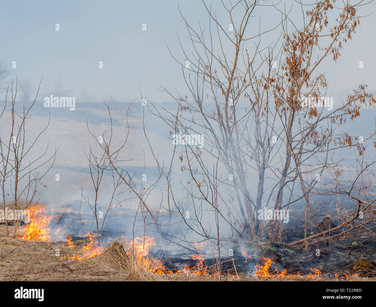 A strong fire spreads in gusts of wind through dry grass, smoking dry