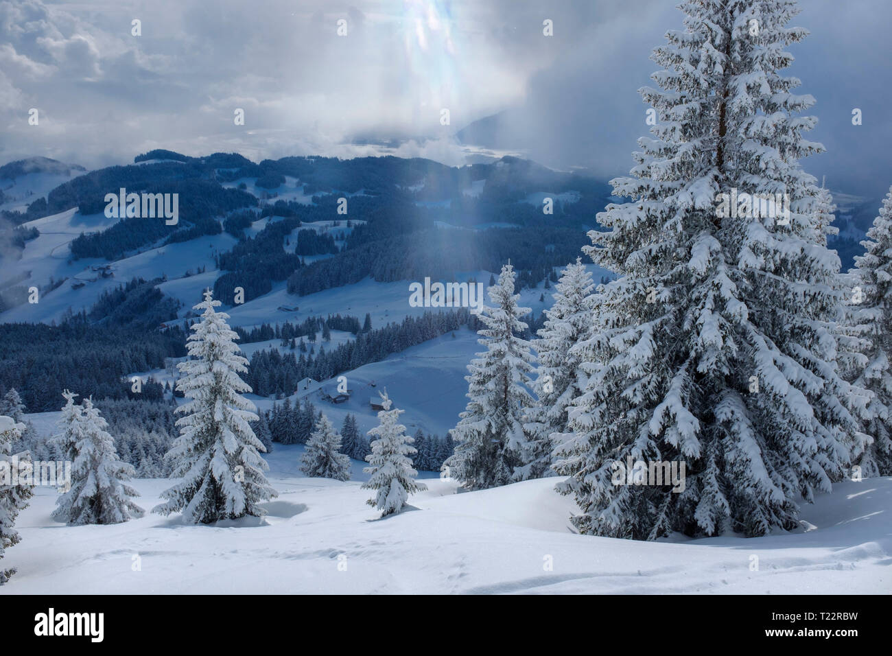 Germany, Bavaria, Chiemgau, Chiemgau Alps, Sachrang, Spitzstein in winter Stock Photo