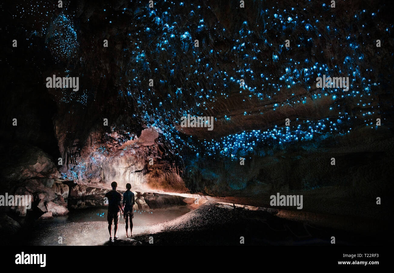 Under a glow worm sky - couple shining a light into Waipu cave filled will glow worms Stock Photo