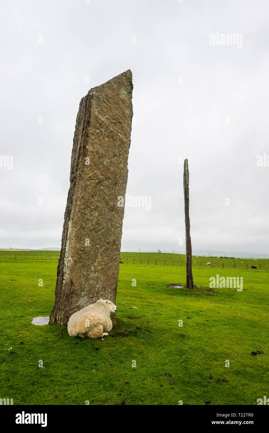 United Kingdom, Scotland, Orkney Islands, Mainland, Standing Stones of Stenness, Unesco world heritage sight Stock Photo