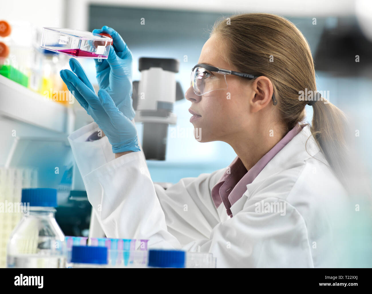 Stem Cell Research, Scientist viewing cells in a flask ready to be