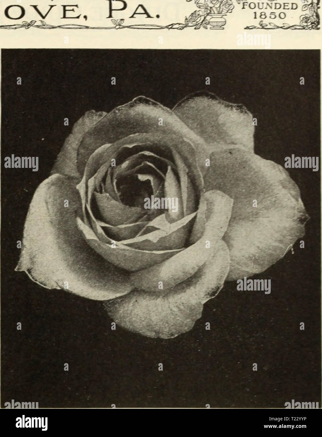 Large o oe hires stock photography and images Alamy