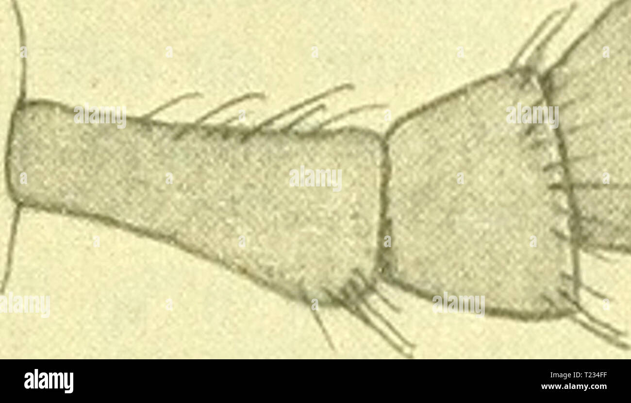 N 49 Stock Photos N 49 Stock Images Page 6 Alamy