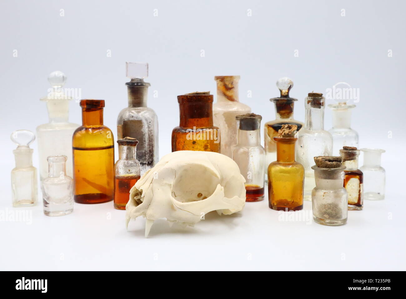 Antique Medicine Bottles, 1800s Victorian Era Stock Photo Alamy