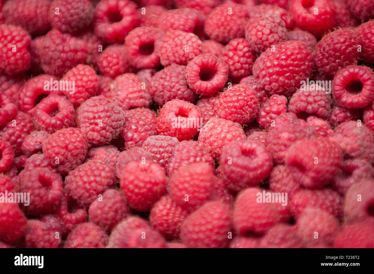 Fresh raspberries. Selective focus set in the centre. Stock Photo