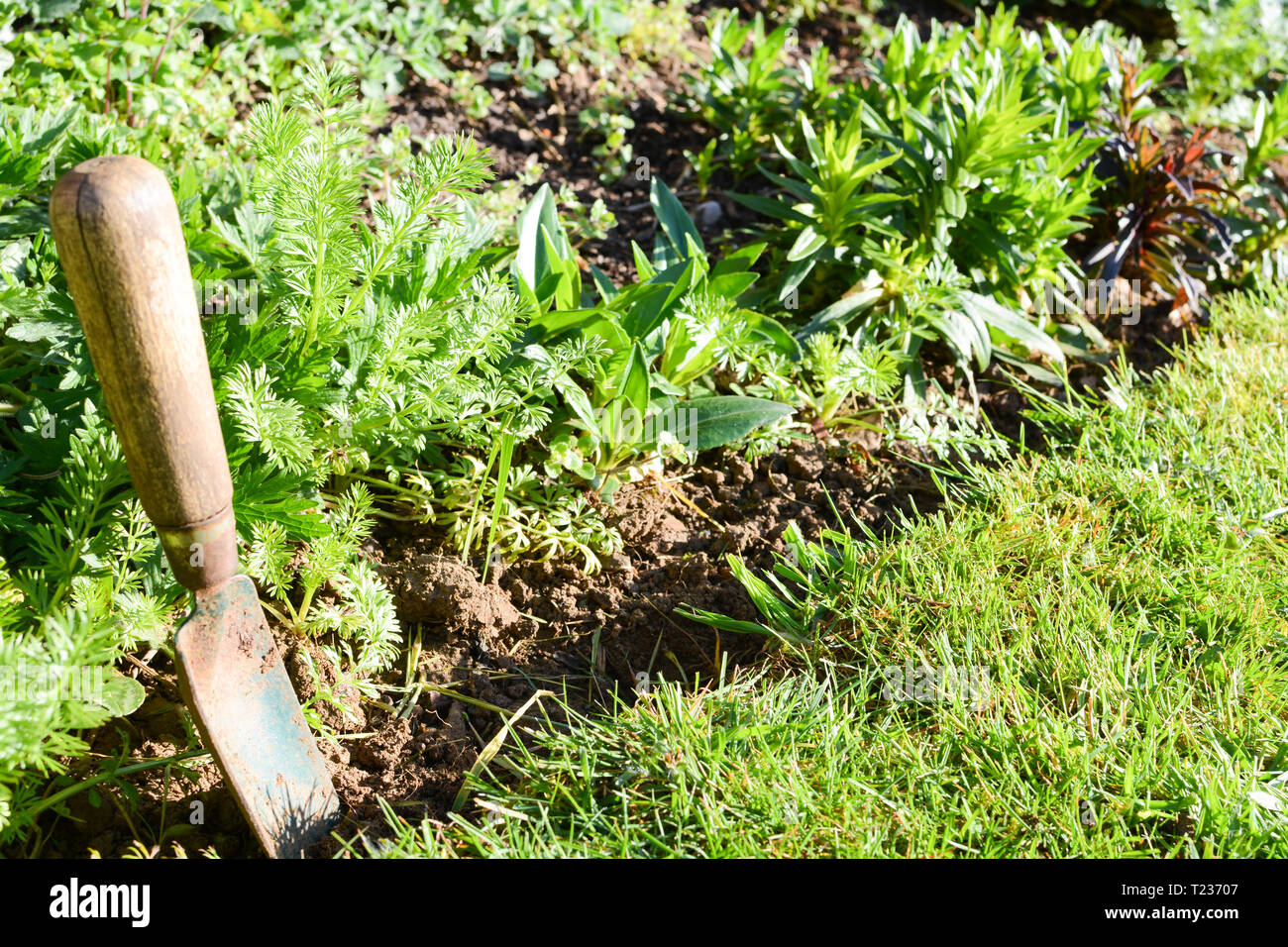 Gardening work tools by a lush green flower bed Stock Photo