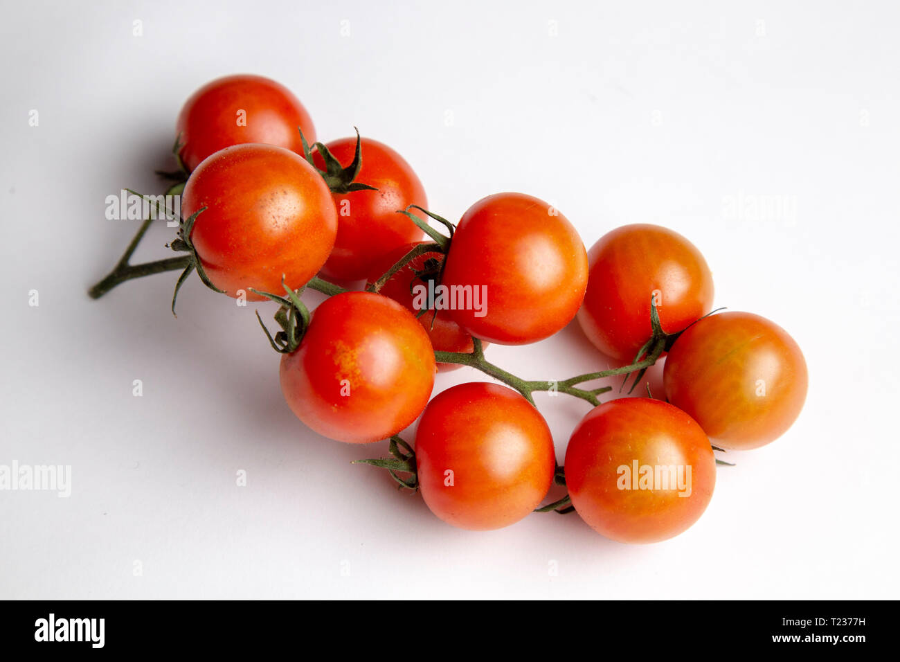 Branch of cherry tomatoes isolated on white background Stock Photo - Alamy
