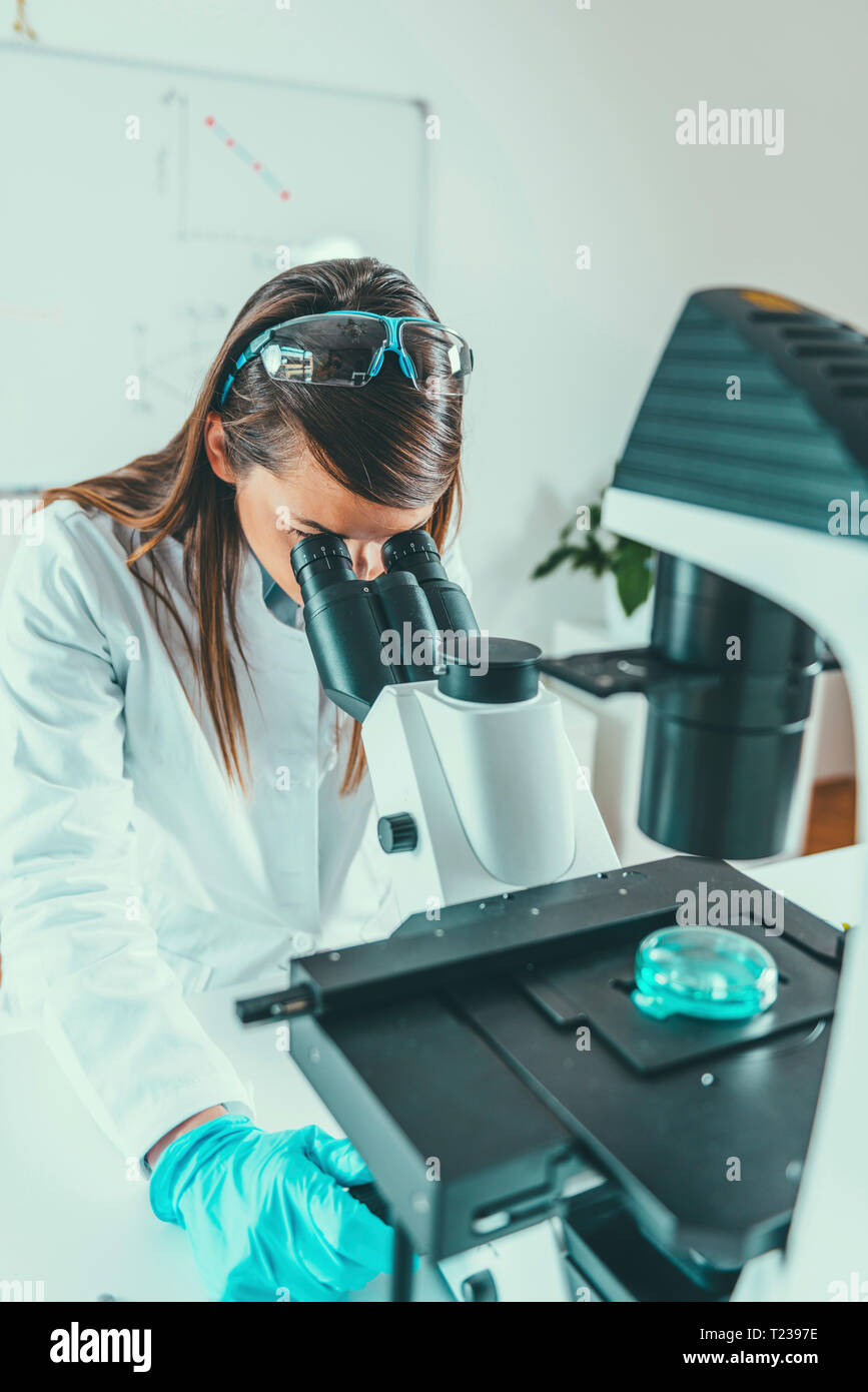 Young scientist working in her lab. Stock Photo