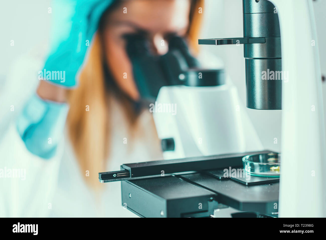 Female biotechnology scientists working in laboratory. Stock Photo