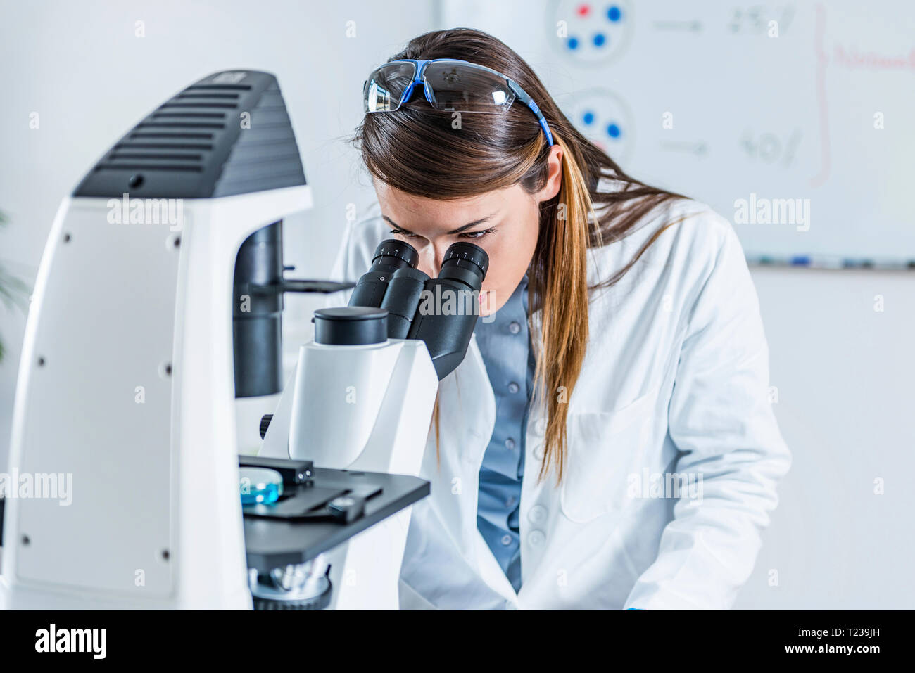 Life science researcher in laboratory Stock Photo Alamy