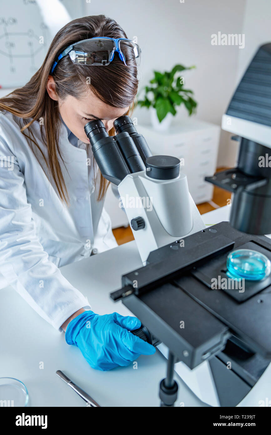 Young scientist working in her lab. Stock Photo