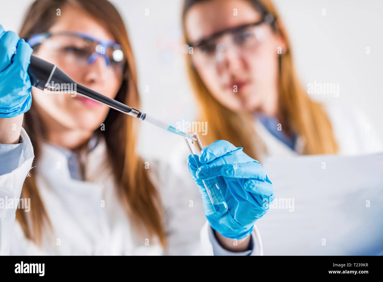 Female researchers using micropipette Stock Photo Alamy