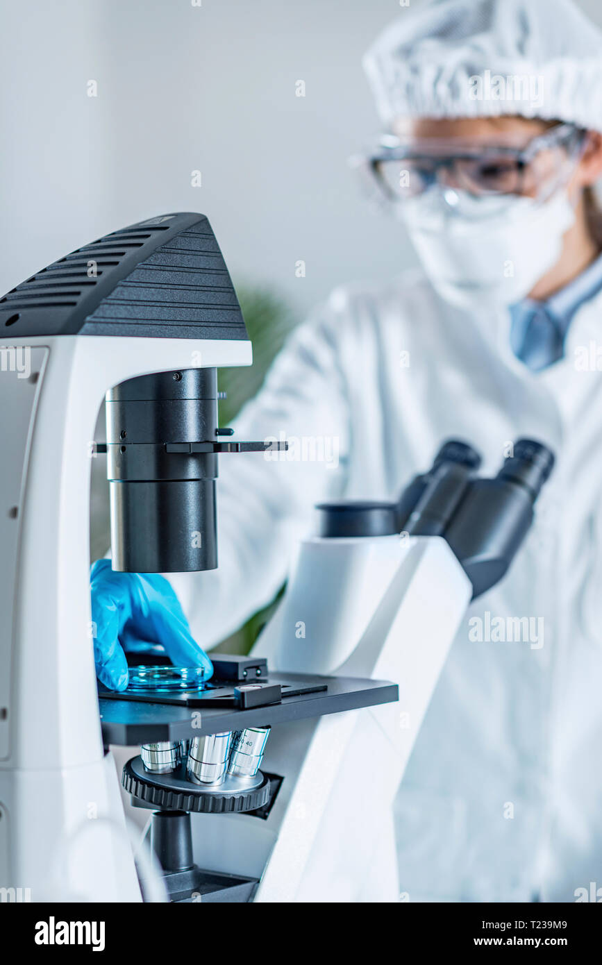 Biotech lab research, placing petri dish with cell culture under the ...