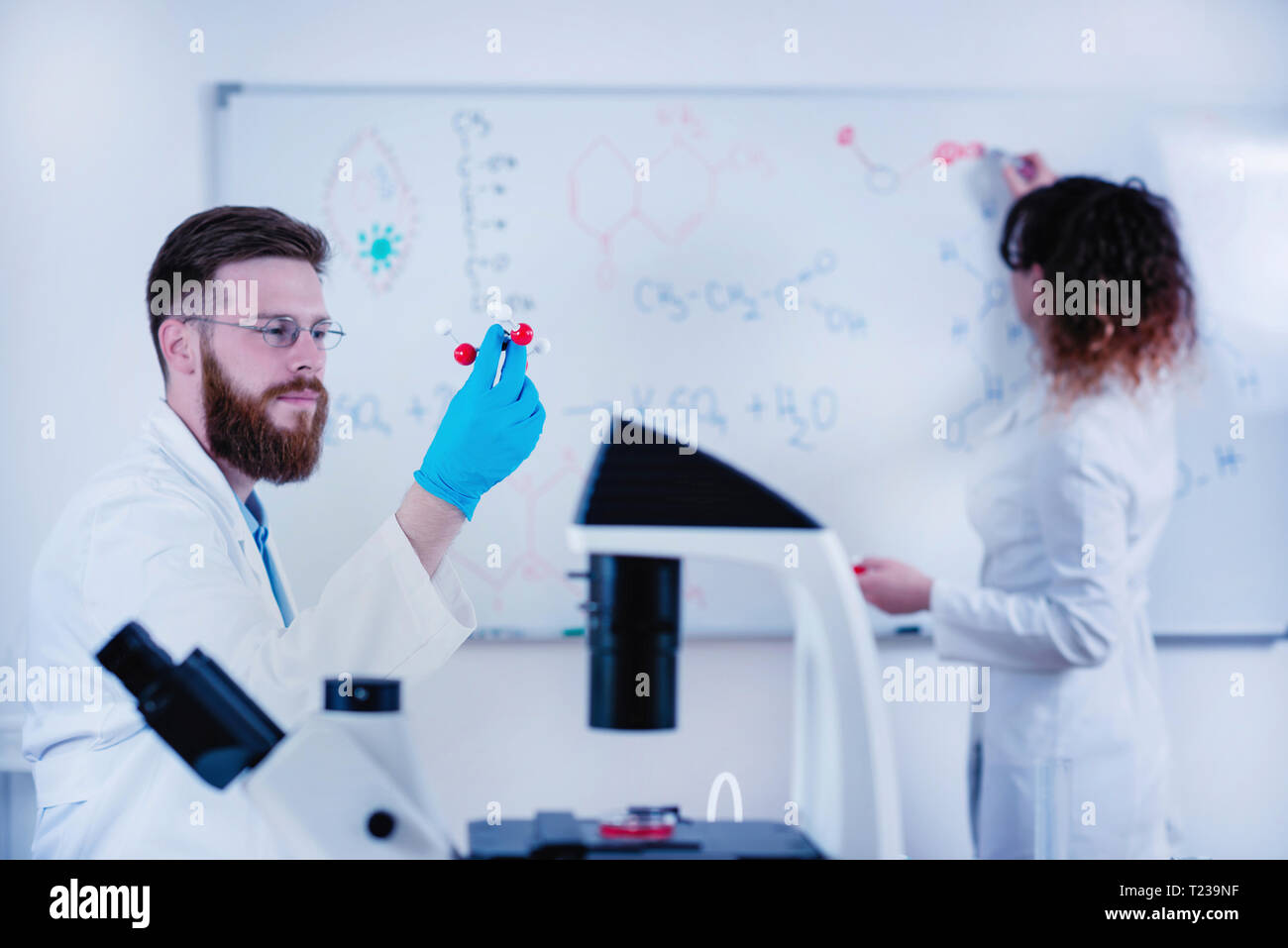 Young researchers working together in the lab wearing uniform Stock