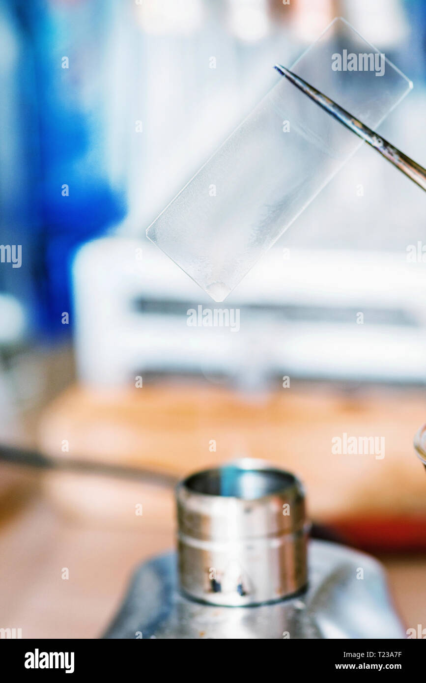 Laboratory work, holding microscope slide over flame Stock Photo - Alamy