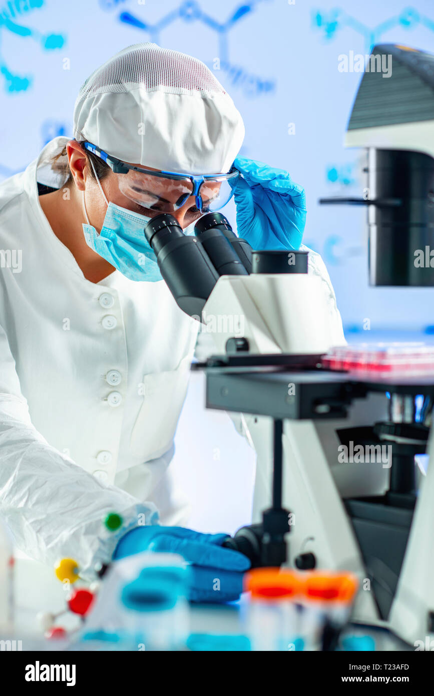 Biotechnology engineer inspecting cell culture flask Stock Photo Alamy