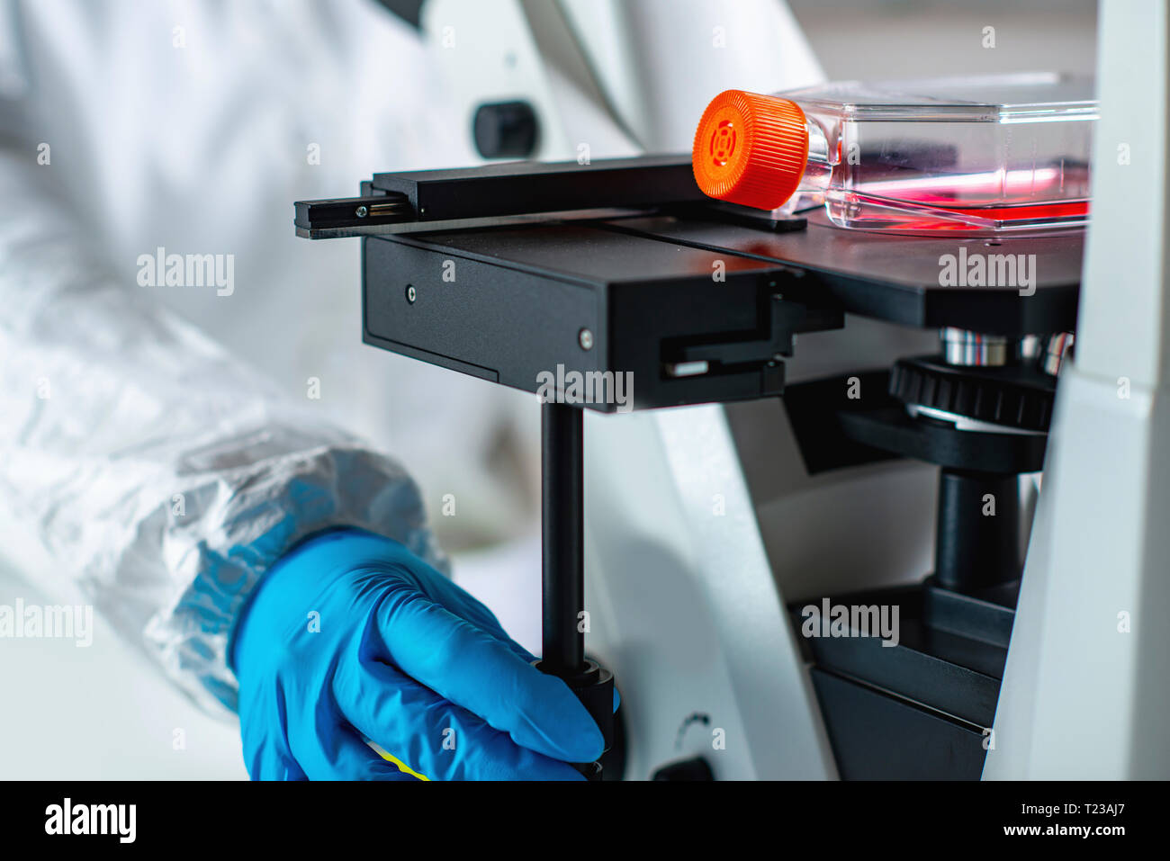 Biotechnology engineer inspecting cell culture flask Stock Photo Alamy